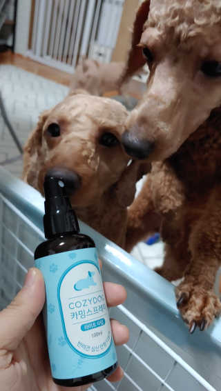 코지독 카밍스프레이 100ml — 3점을 준 리뷰어가 2020년 6월 올린 사용 사진
