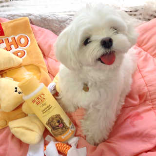 lala님이 올린 리뷰 사진 1