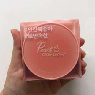 [블랙루즈] 피치 커버 벨벳 쿠션 2종 중 택1 — 4.5점을 준 리뷰어가 2020년 7월 올린 사용 사진