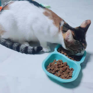 짱현정님이 올린 리뷰 사진 4