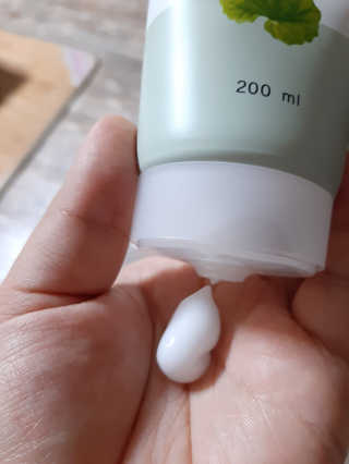 도도맘님이 올린 리뷰 사진 4