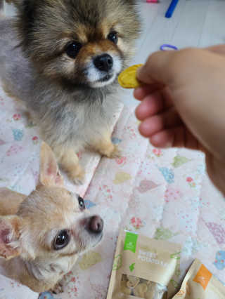 자옥이언니님이 올린 리뷰 사진 3