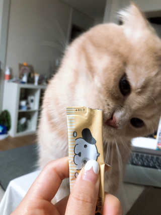 flowerblooming님이 올린 리뷰 사진 3