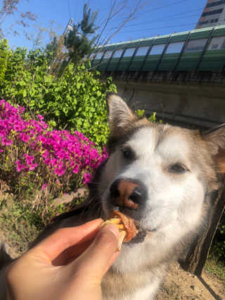 하시모님이 올린 리뷰 사진 2