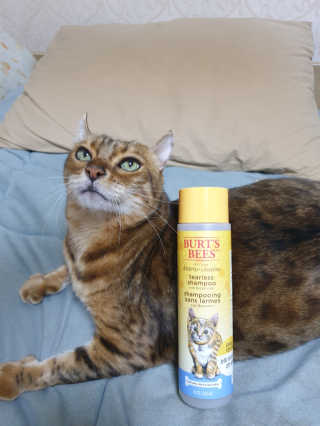 위드님이 올린 리뷰 사진 1