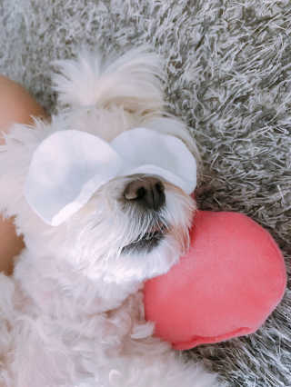윤퍼플님이 올린 리뷰 사진 1