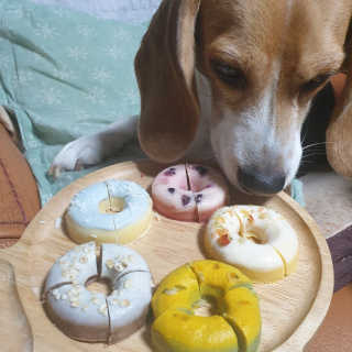 beaglelove님이 올린 리뷰 사진 2