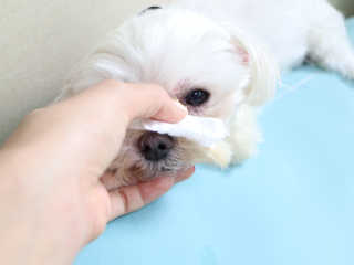 최정임님이 올린 리뷰 사진 4