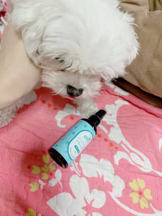새초미님이 올린 리뷰 사진 1