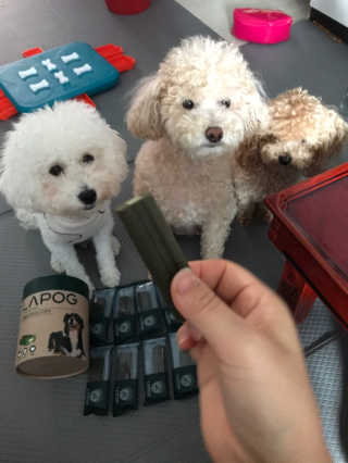 [푸디웜] 라포그 코어덴탈츄 그린 (10개입) — 5점을 준 리뷰어가 2020년 8월 올린 사용 사진