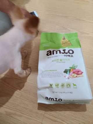 [풀무원 아미오] 오리진 올라이프 1.2kg — 5점을 준 리뷰어가 2020년 10월 올린 사용 사진