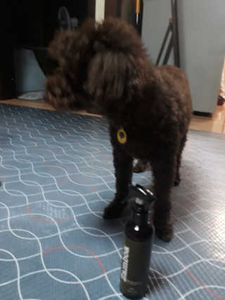깨비님이 올린 리뷰 사진 4