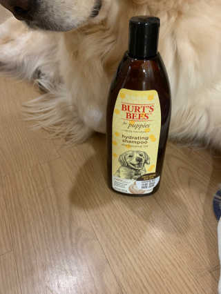 셀럽봉봉님이 올린 리뷰 사진 3