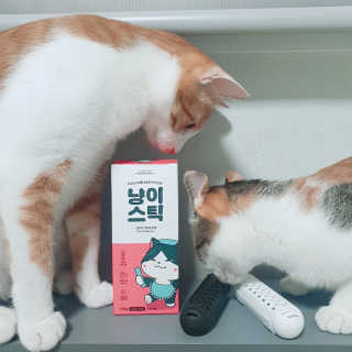 짱현정님이 올린 리뷰 사진 4