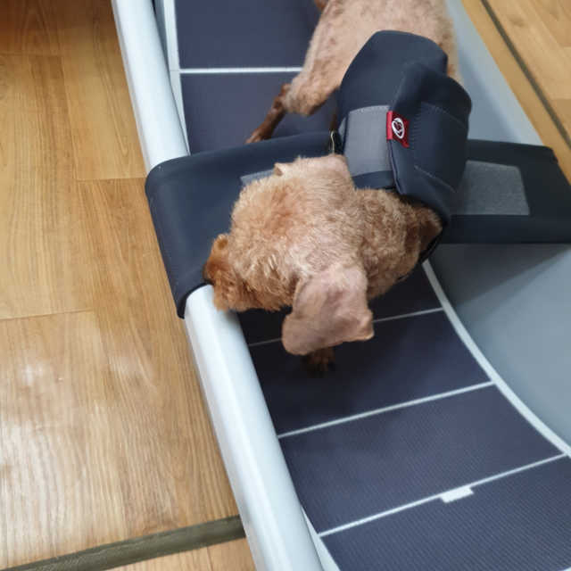 워터스텝 리뷰 사진
