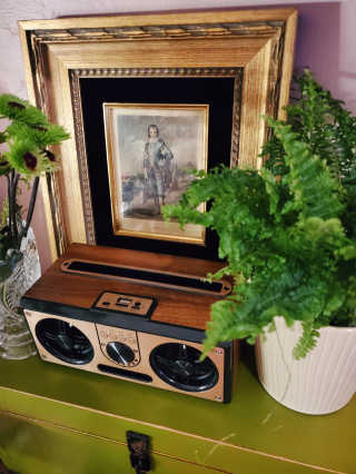 SEVIZ RETRO20W 레트로 블루투스 스피커 — 5점을 준 리뷰어가 2020년 10월 올린 사용 사진