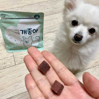 My Pet Care 천연단백질 눈건강에 개좋아 — 5점을 준 리뷰어가 2021년 1월 올린 사용 사진