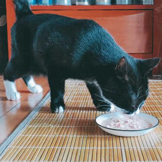 스텔라님이 올린 리뷰 사진 4