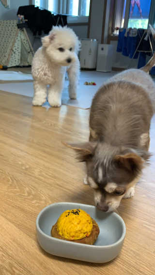 외모되죠님이 올린 리뷰 사진 2