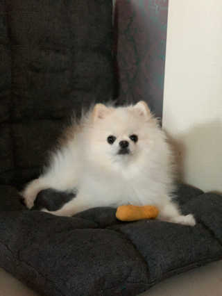 aerin님이 올린 리뷰 사진 3