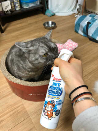 지연님이 올린 리뷰 사진 4