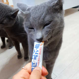 여온님이 올린 리뷰 사진 2