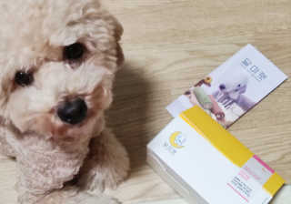 언니의호기심님이 올린 리뷰 사진 3