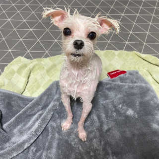 당근님이 올린 리뷰 사진 1
