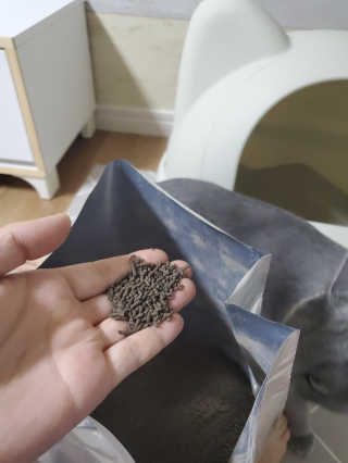 보리엄마님이 올린 리뷰 사진 3