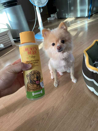 준희이님이 올린 리뷰 사진 1