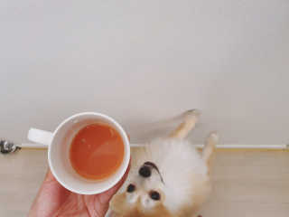 좋아님이 올린 리뷰 사진 3