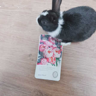 지니야님이 올린 리뷰 사진 1