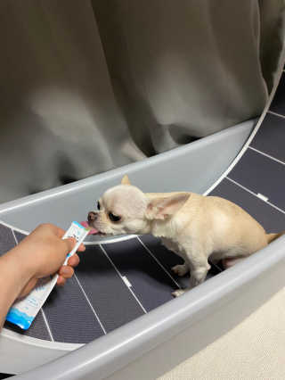 EunBee님이 올린 리뷰 사진 2