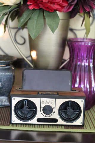 SEVIZ RETRO20W 레트로 블루투스 스피커 — 5점을 준 리뷰어가 2020년 7월 올린 사용 사진