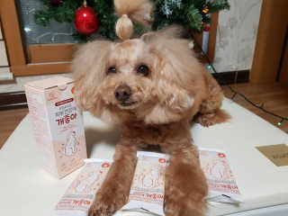 My Pet Care 모발과 모질 피부건강에 개좋아 — 5점을 준 리뷰어가 2020년 12월 올린 사용 사진