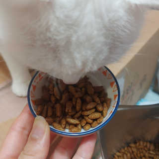 라온시연님이 올린 리뷰 사진 2