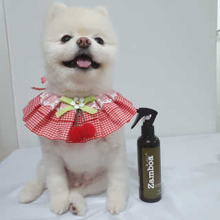 현이님이 올린 리뷰 사진 3