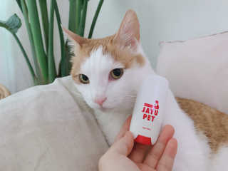 [레드허니밤]자유펫 고양이 강아지 발바닥 밤 14g — 5점을 준 리뷰어가 2020년 7월 올린 사용 사진