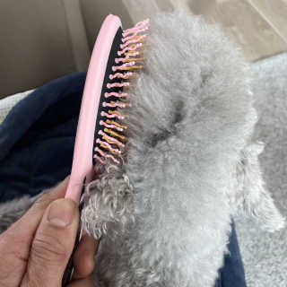 아이캔디 레인보우 볼륨S  브러쉬 for PET 미디엄 — 5점을 준 리뷰어가 2020년 11월 올린 사용 사진
