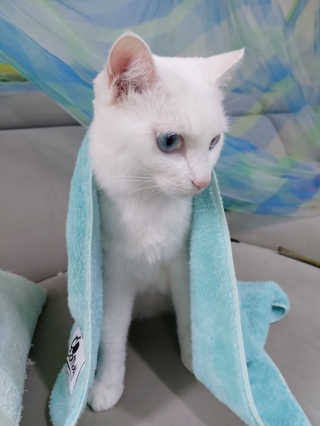 귤양님이 올린 리뷰 사진 4