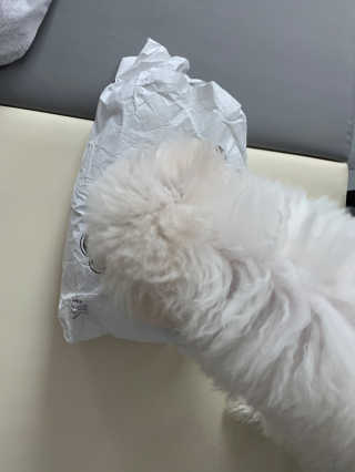 큐티윤님이 올린 리뷰 사진 1