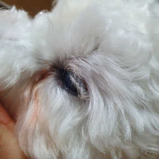 아밍이다님이 올린 리뷰 사진 4