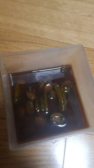 바다는다웰빙이다 완도사랑 전복죽 250g - 2팩 + 전복장조림 2팩 — 5점을 준 리뷰어가 2020년 11월 올린 사용 사진