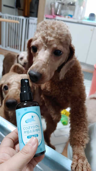 코지독 카밍스프레이 100ml — 3점을 준 리뷰어가 2020년 6월 올린 사용 사진
