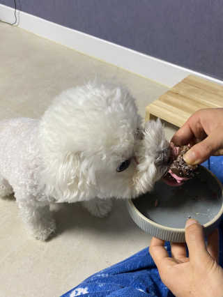 빛나는늘봄님이 올린 리뷰 사진 3