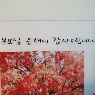 마루아토ღ'ᴗ'ღ님이 올린 리뷰 사진 2