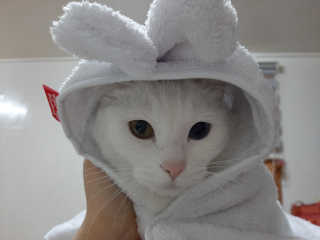 야키소바빵님이 올린 리뷰 사진 1
