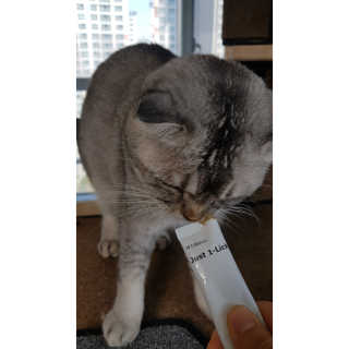 으하하하하님이 올린 리뷰 사진 3