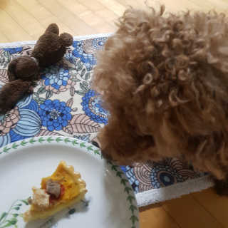 제이드님이 올린 리뷰 사진 1