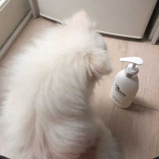 예민한 피부를 위한 코코몰리 All in one 자연유래 샴푸 — 5점을 준 리뷰어가 2020년 6월 올린 사용 사진